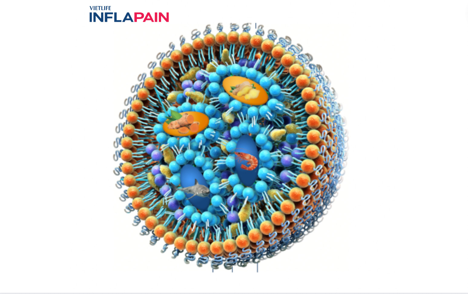 Công nghệ Nano Solid Lipid
