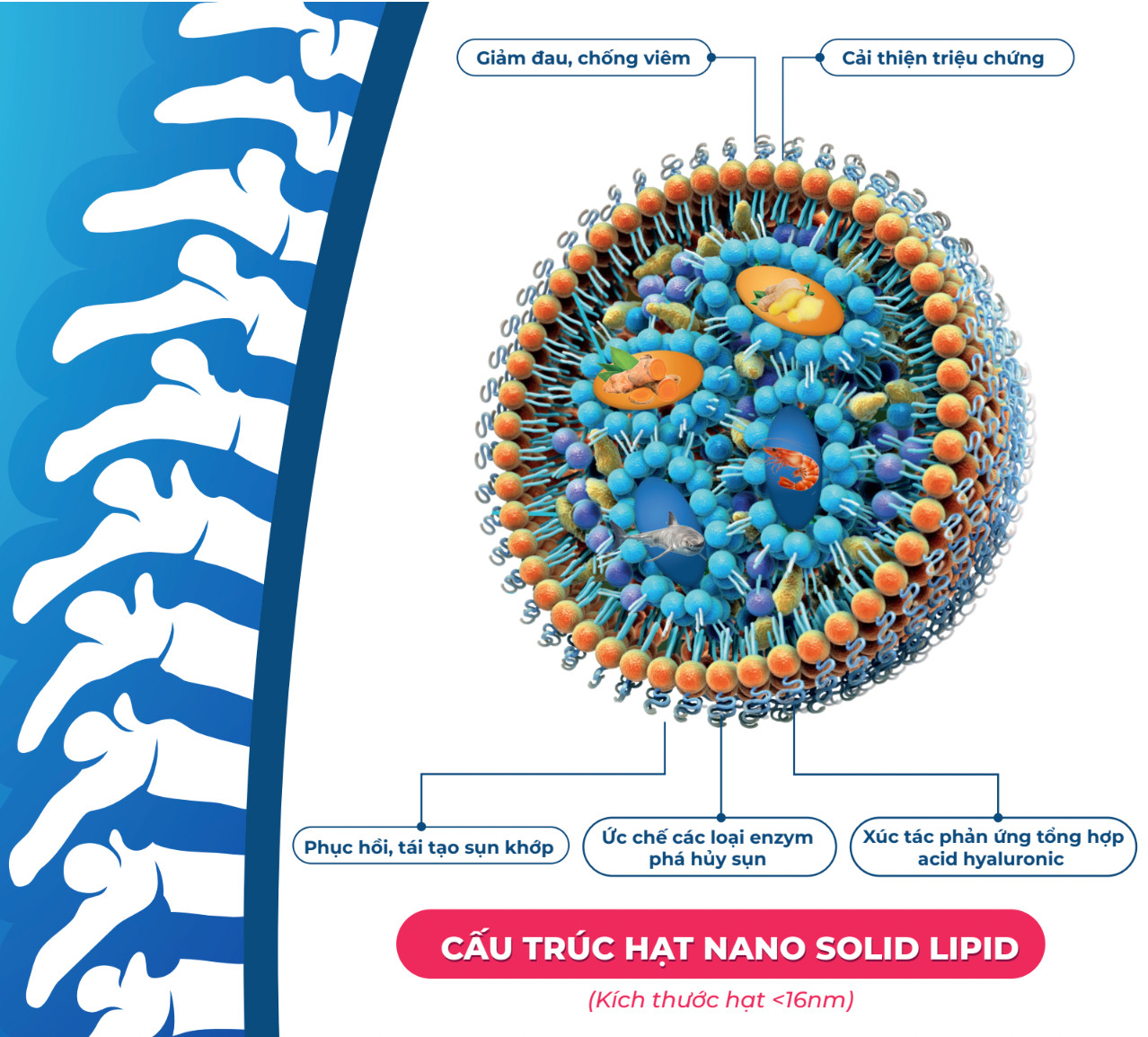 Cấu trúc hạt Nano Solid Lipid